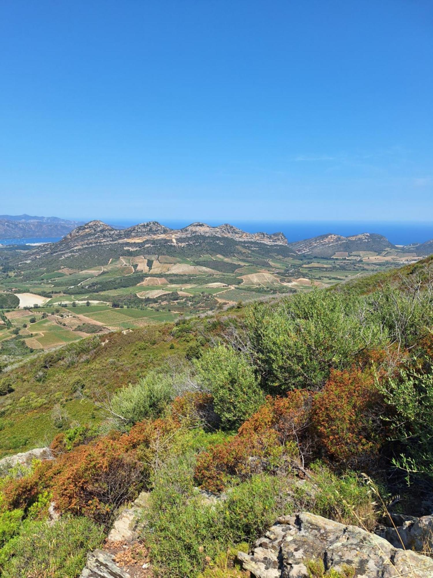 Le Clos Osteria Barbaggio Dış mekan fotoğraf
