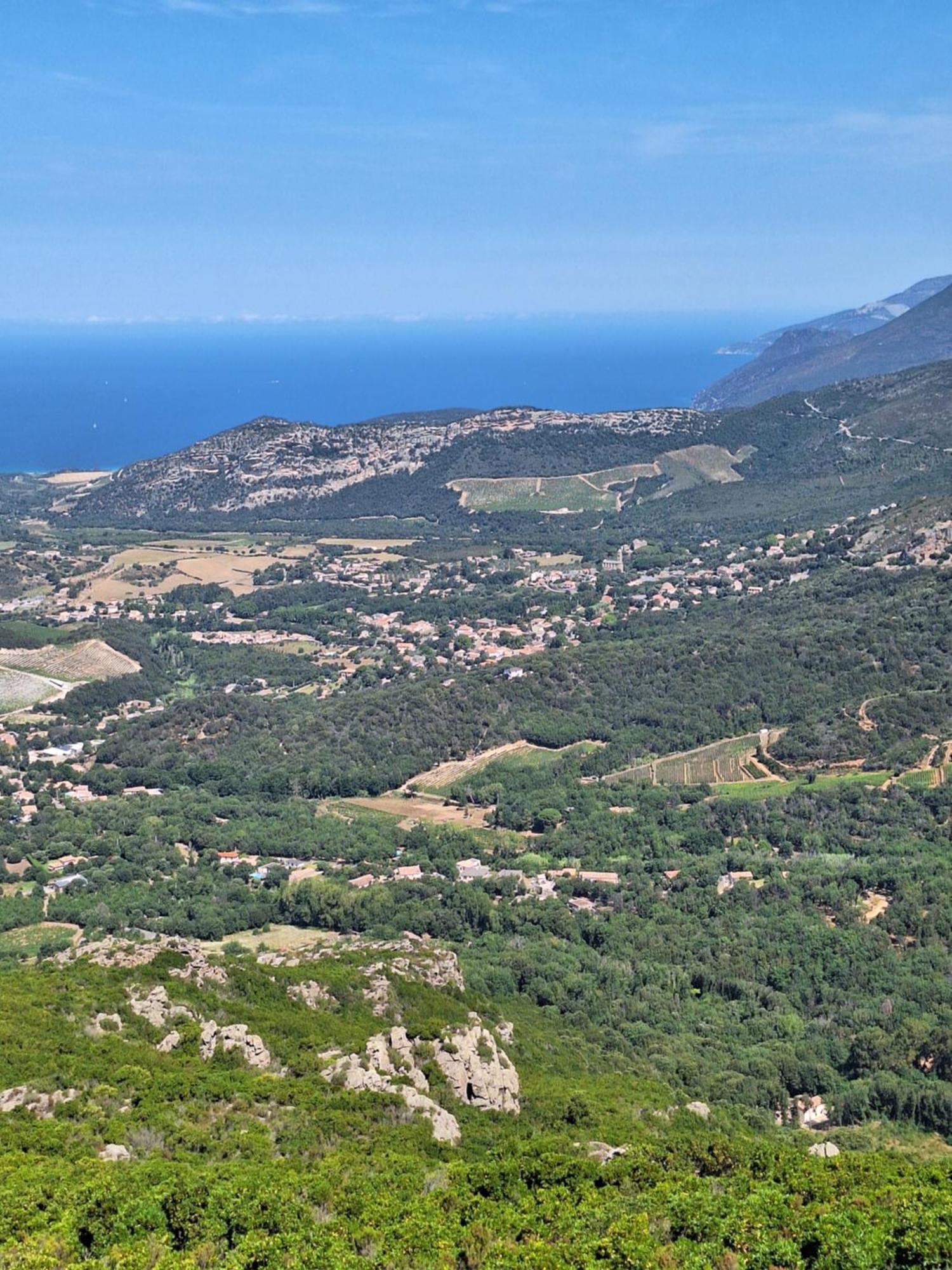 Le Clos Osteria Barbaggio Dış mekan fotoğraf