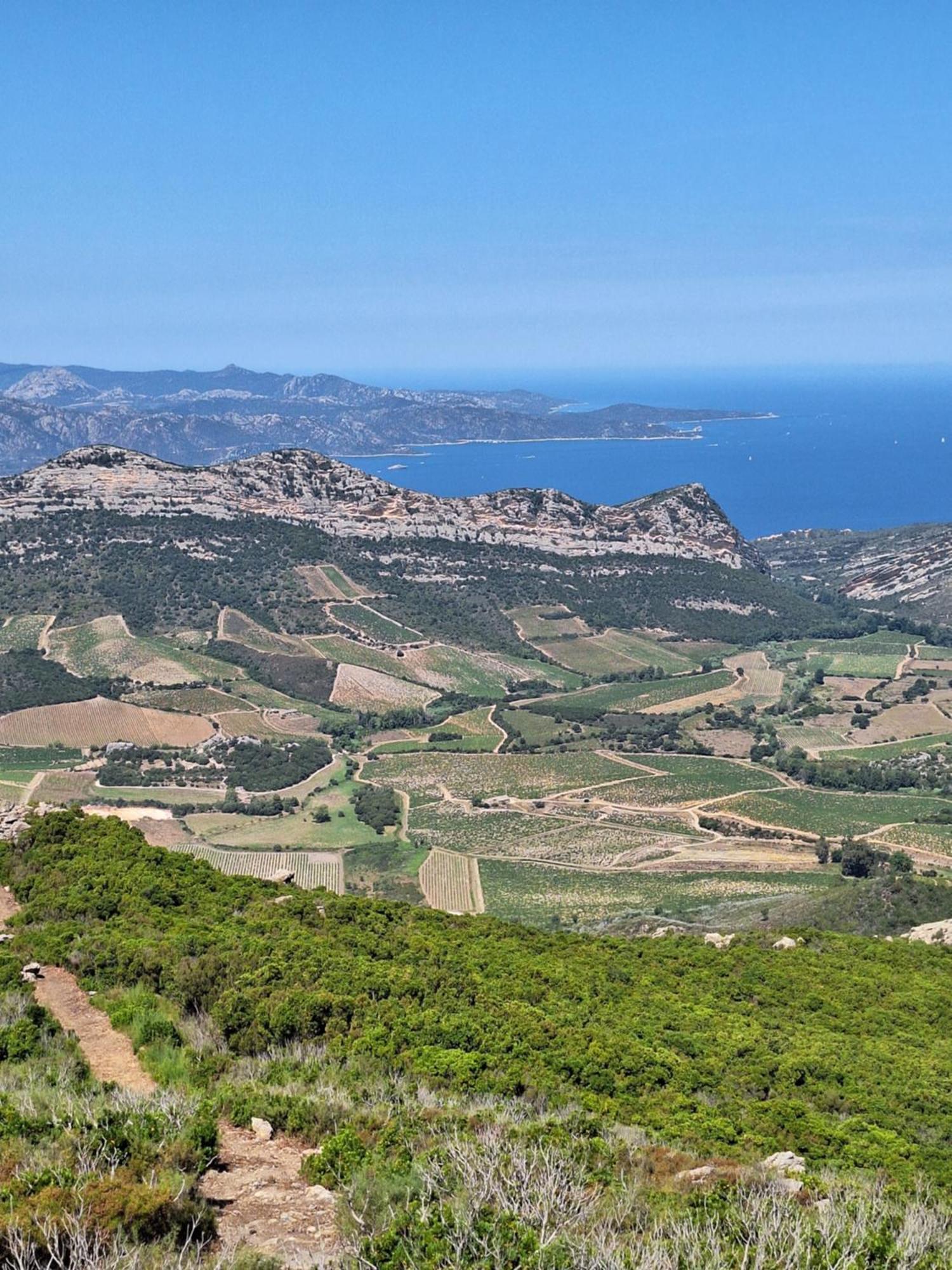 Le Clos Osteria Barbaggio Dış mekan fotoğraf